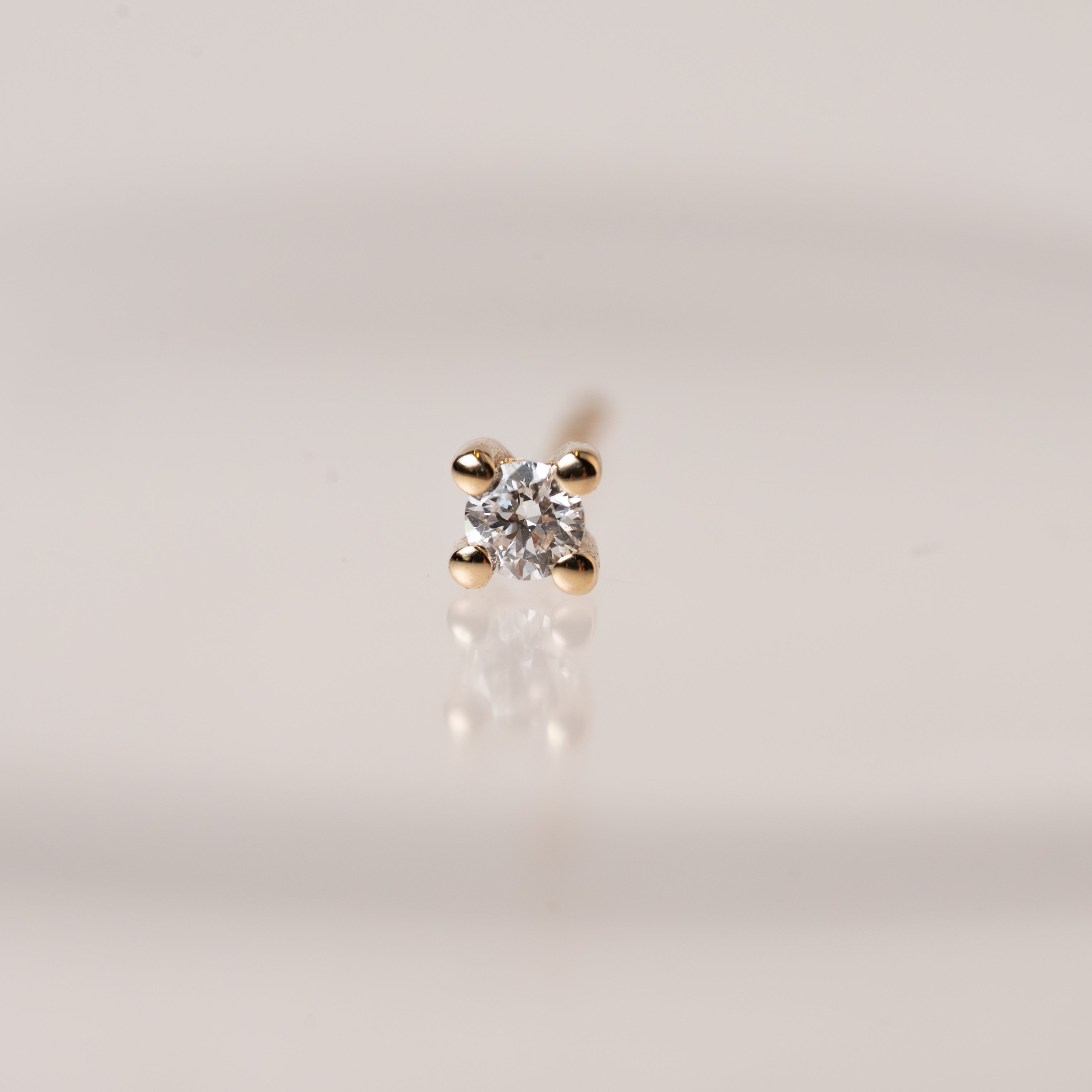 Classic Stud Earring